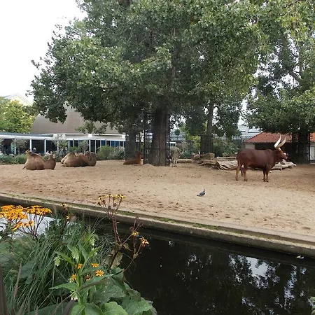 B&B Amsterstay